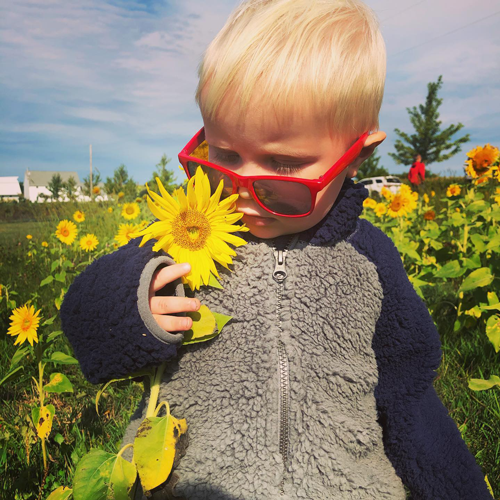 Nash-and-sunflower